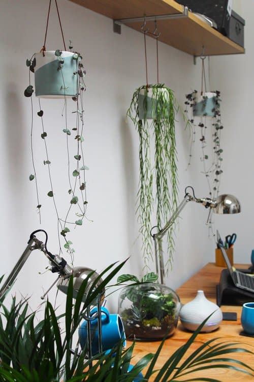 Bespoke Spaces - Hornsey photo 2